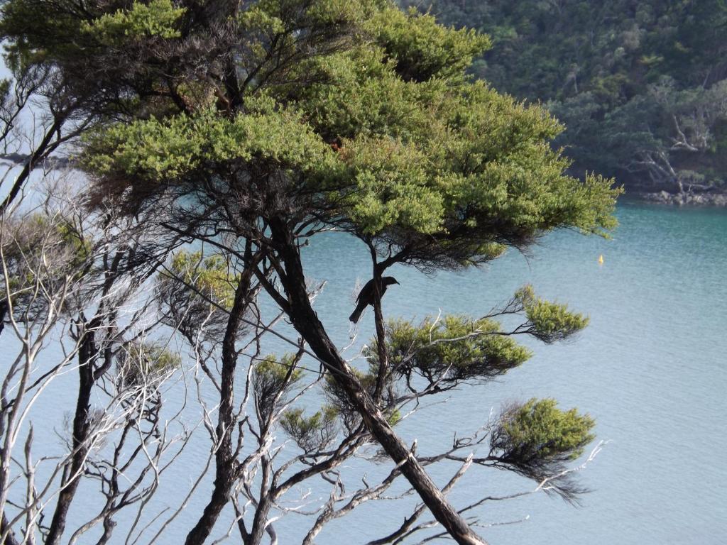 怀特沃里汽车旅馆 Coromandel 外观 照片